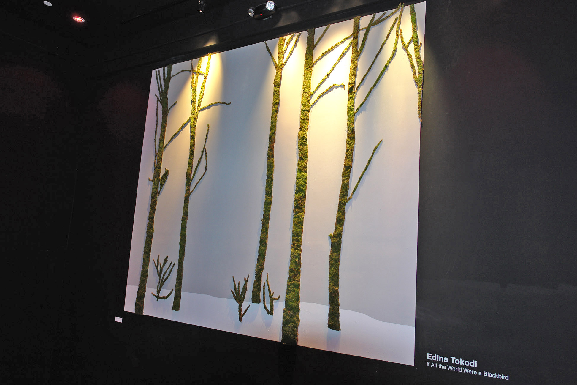 LPR solo show_entrance.jpg