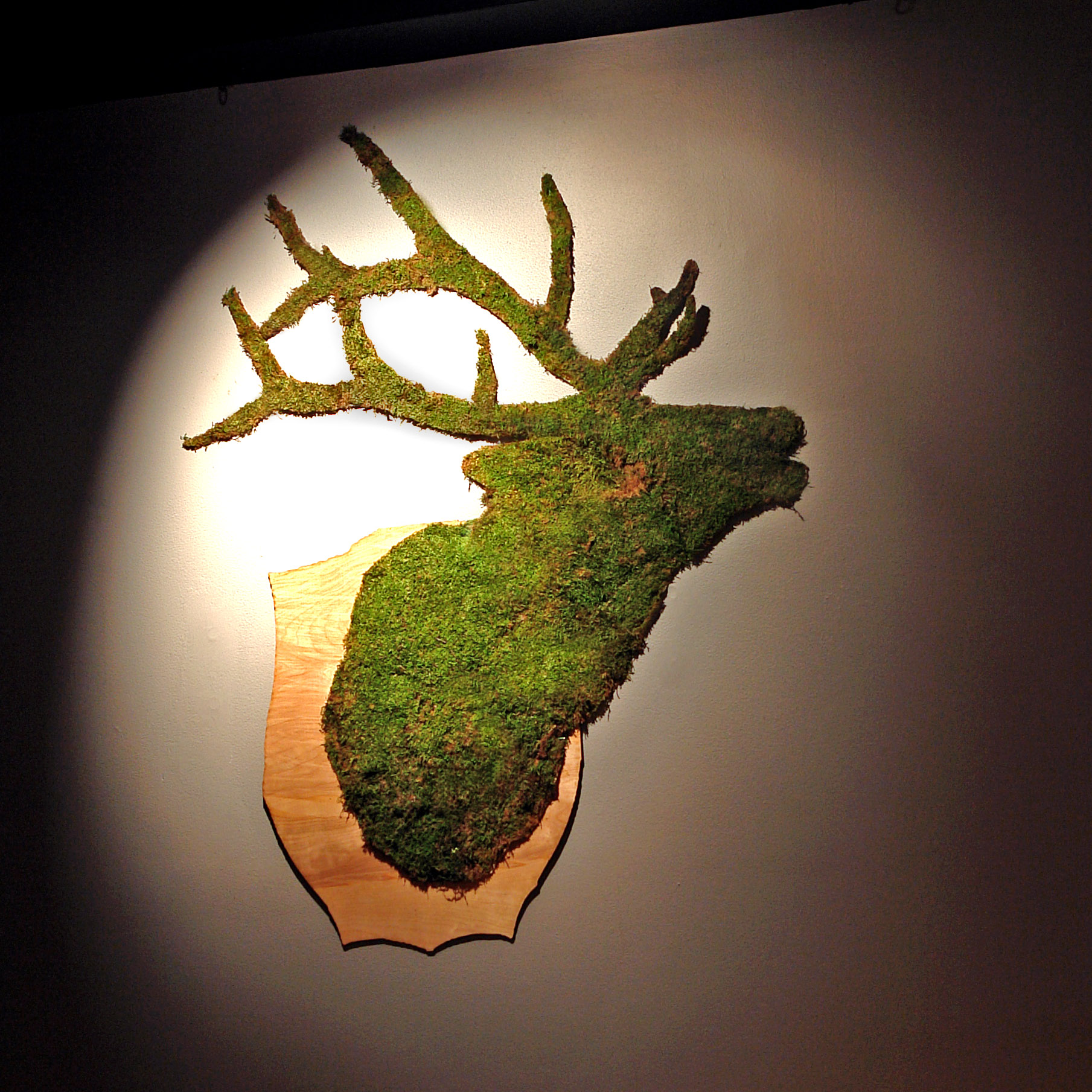 LPR solo show_deer trophy.jpg