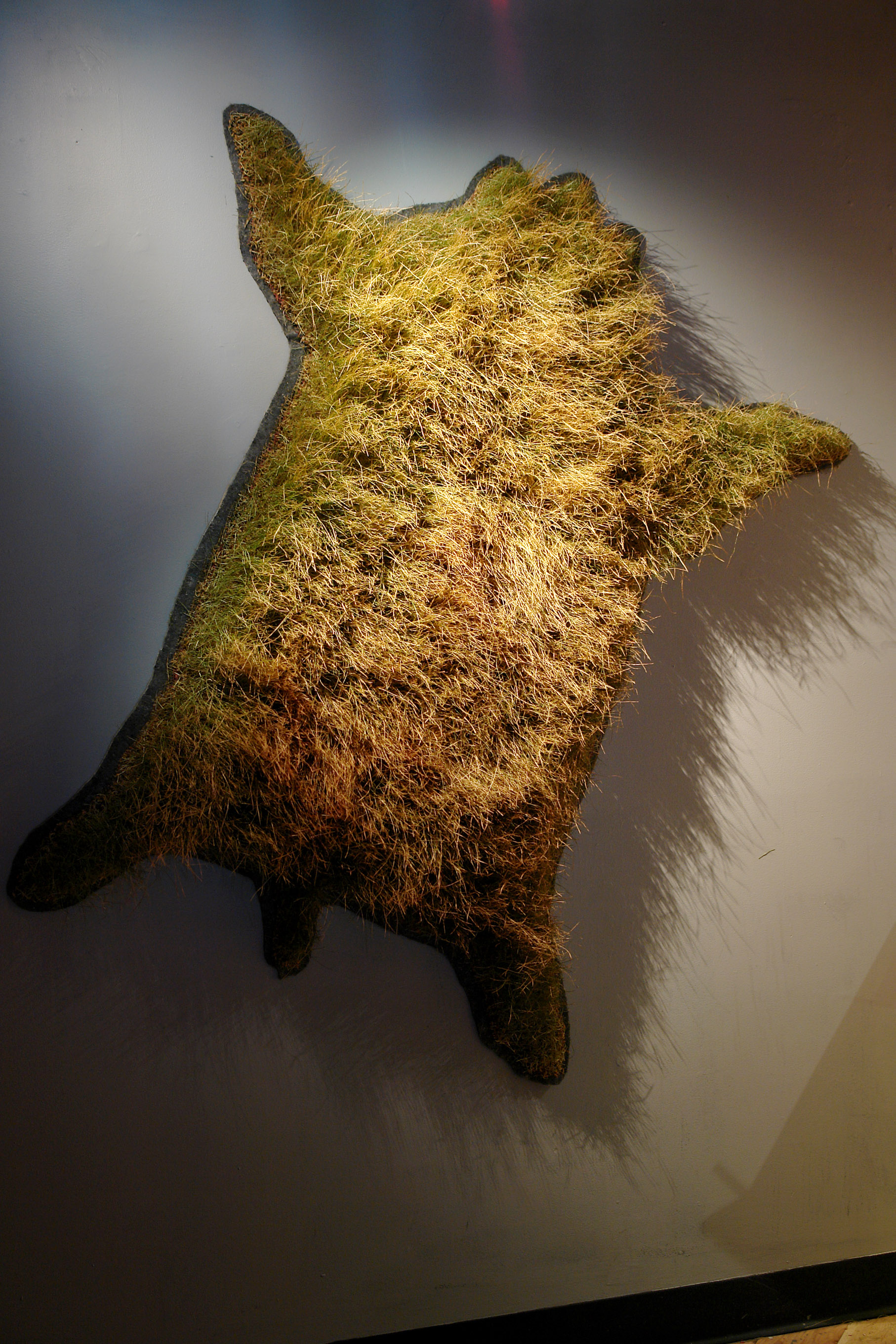 LPR solo show_rug.jpg