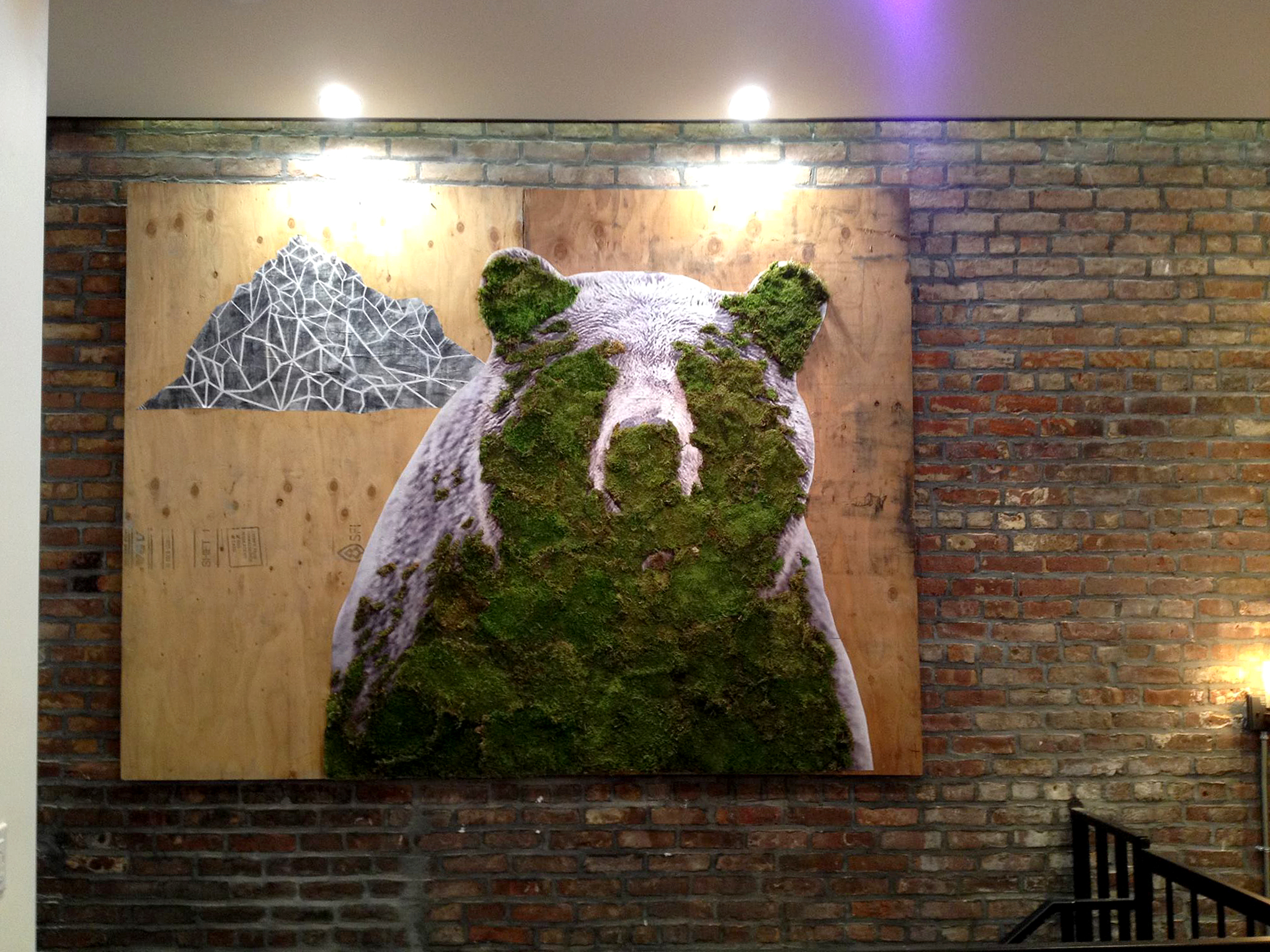  Indoor installation with moss. Brooklyn, NYC 